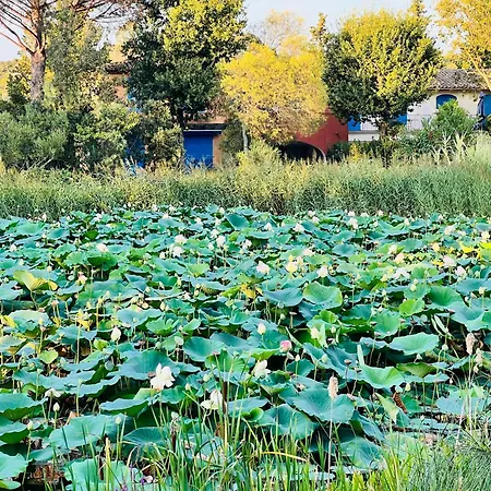 6 Voyageurs Aux Restanques A Apartmán Grimaud